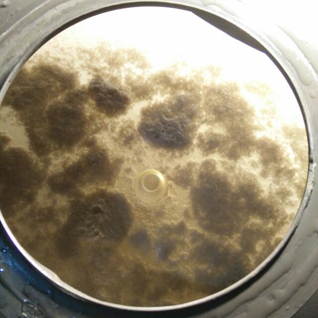 Delphin Mattress Cleaning Vacuum Service (Buangkok,Sengkang, Punggol