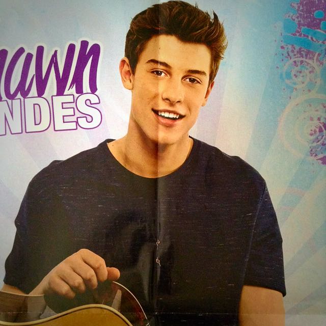 Shawn Mendes Poster, Everything Else on Carousell