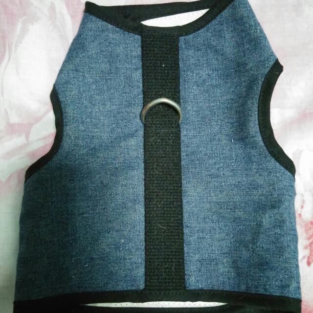 Kitty Holster Cat Harness Size S M Pet Supplies On Carousell