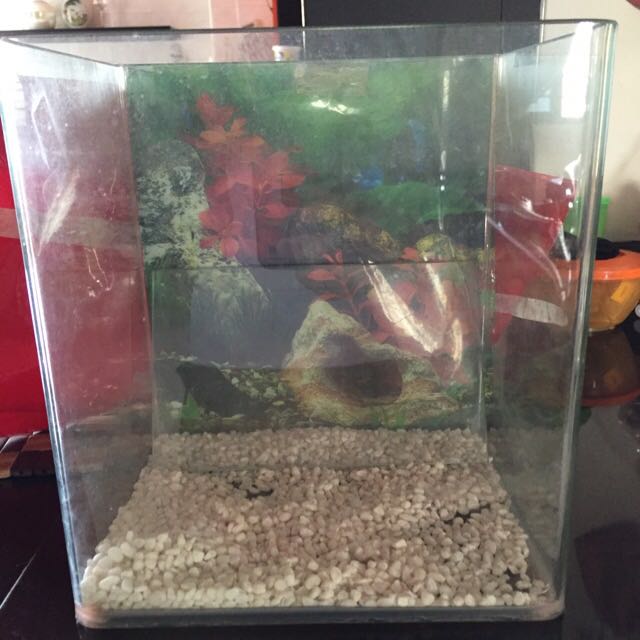 Used fish tank supplies outlet