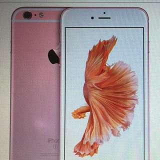 1 Set iPhone 6s Plus 64 GB Rose Gold Sealed From Apple - Last