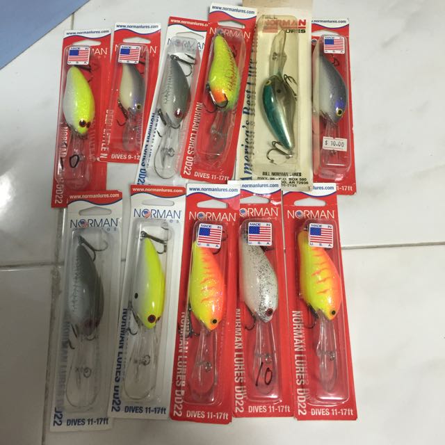 Norman lures DD22, Sports Equipment, Fishing on Carousell