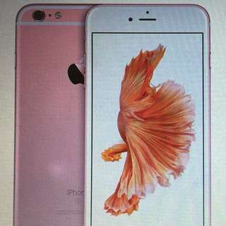 2 sets of Apple Sealed iPhone 6s Plus 64 GB Rose Gold - Close soon