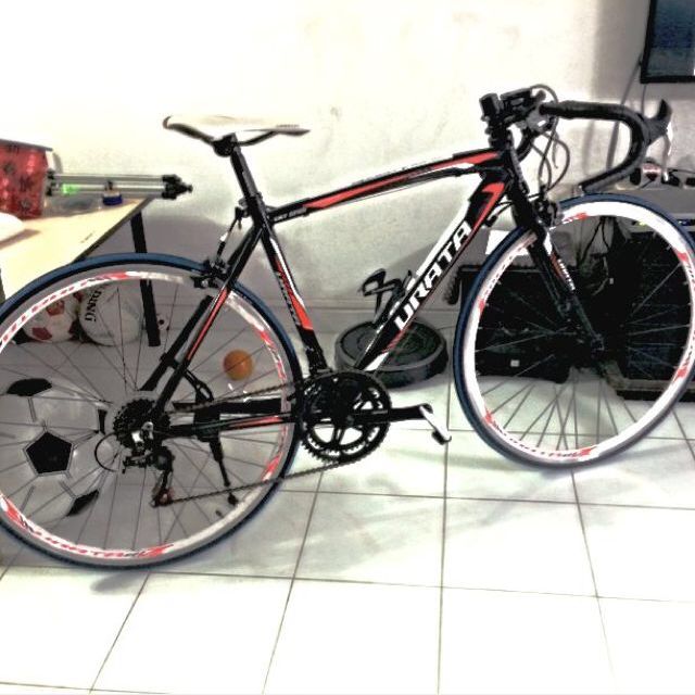 Urata Avantgarde Road Bike, Sports 