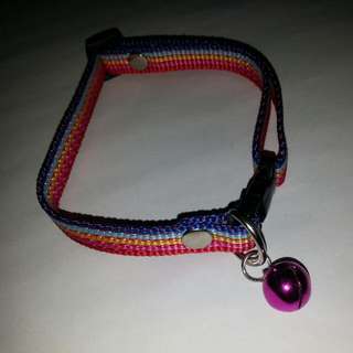 BN Neon Rainbow Pet Collar