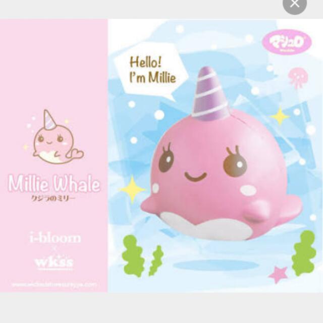 Millie the sale whale