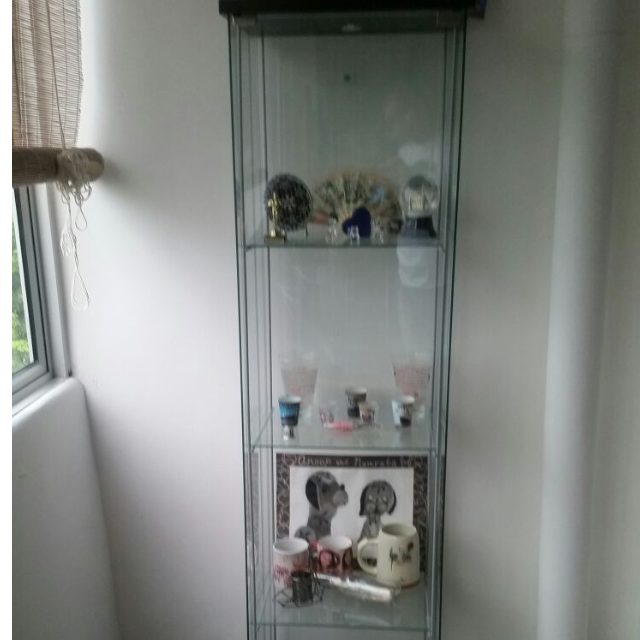Detolf GlassDoor BlackBrown Matttroy