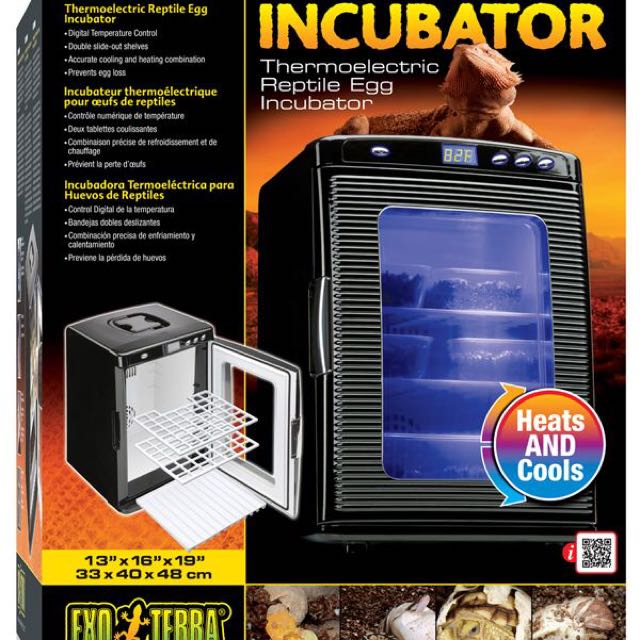 Exo terra thermoelectric reptile egg incubator best sale