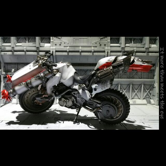 Sic cruisers store