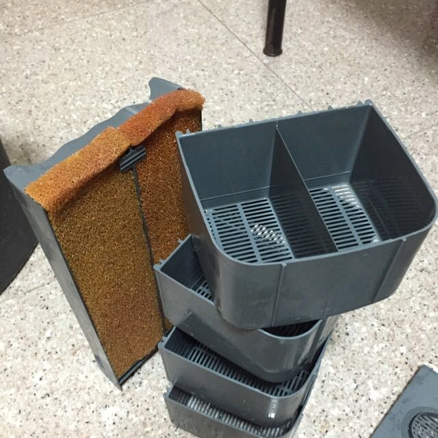 (Reserved)Fluval 405 Canister Filter, Pet Supplies on Carousell