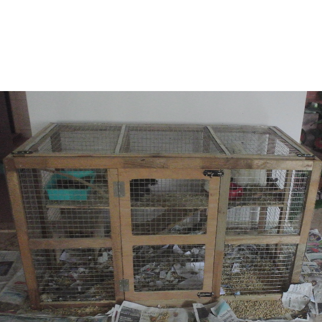 Preloved Chickenrabbit Coop For Sale Pet Supplies On Carousell
