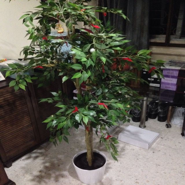 Decorative Good Luck Tree, Furniture on Carousell