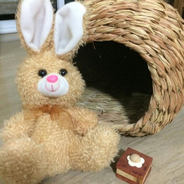 Oxbow Timothy Hay bungalow, Pet Supplies, Pet Food on Carousell