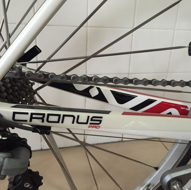 Gary fisher cronus top mountain bike