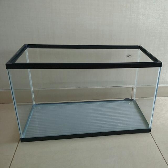 Fish Tank, Pet Supplies, Homes & Other Pet Accessories on Carousell