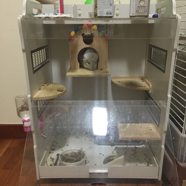 Acrylic chinchilla cage Clearance