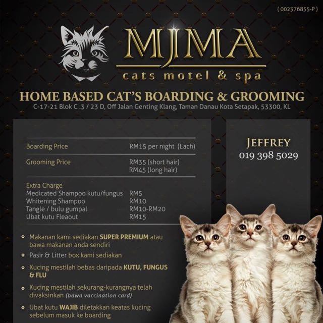 Cat online grooming prices