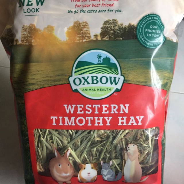 Oxbow Western Timothy Hay, Pet Supplies, Pet Food on Carousell