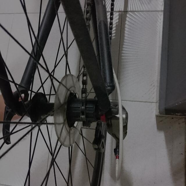 2010 felt store z85