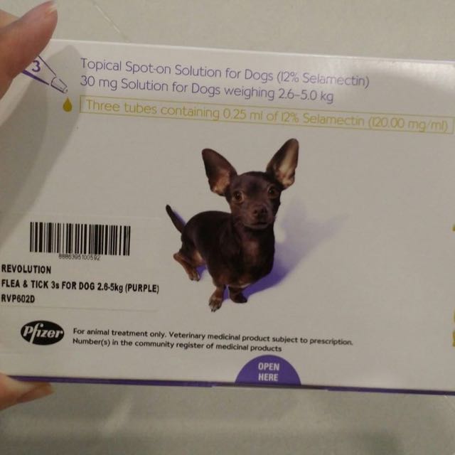 revolution purple for dogs