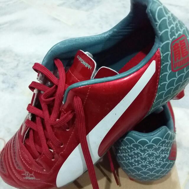 puma evopower 4.2 puma evopower 4.2