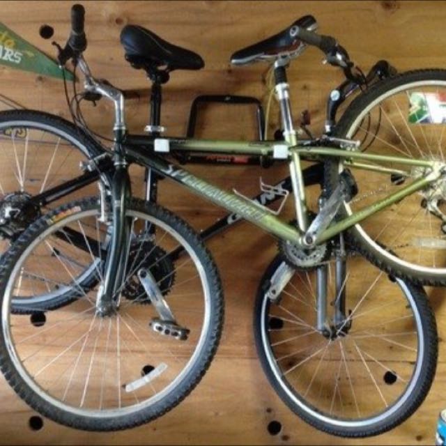 wall mounted bicycle rack