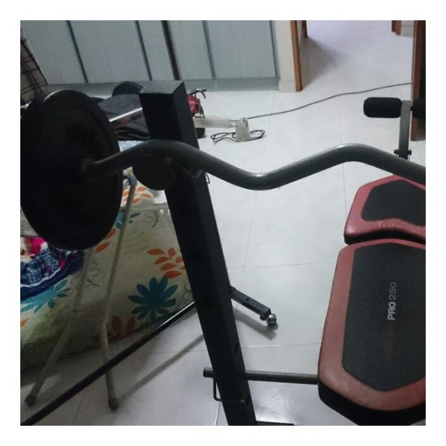 Weider 2025 pro 250