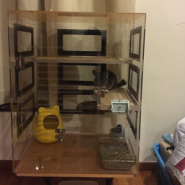 3 Tier Chinchilla Acrylic Cage, Pet Supplies, Homes & Other Pet