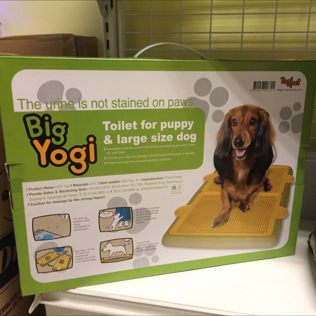 yogi pee pan Different ways to have sex picture