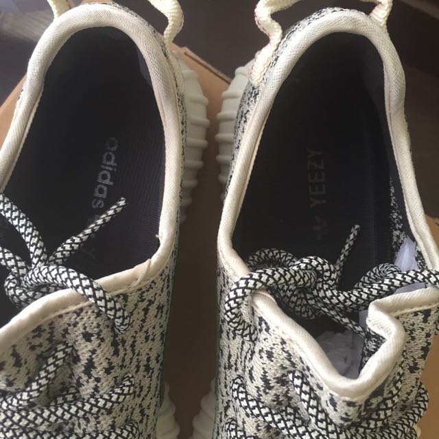Adidas Yeezy Boost 350 Turtle Dove. Size 8. Brand New. Women s Fashion Footwear Sneakers on Carousell