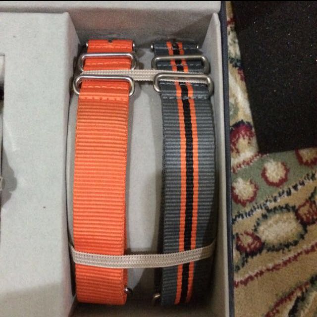 nautica divers watch price