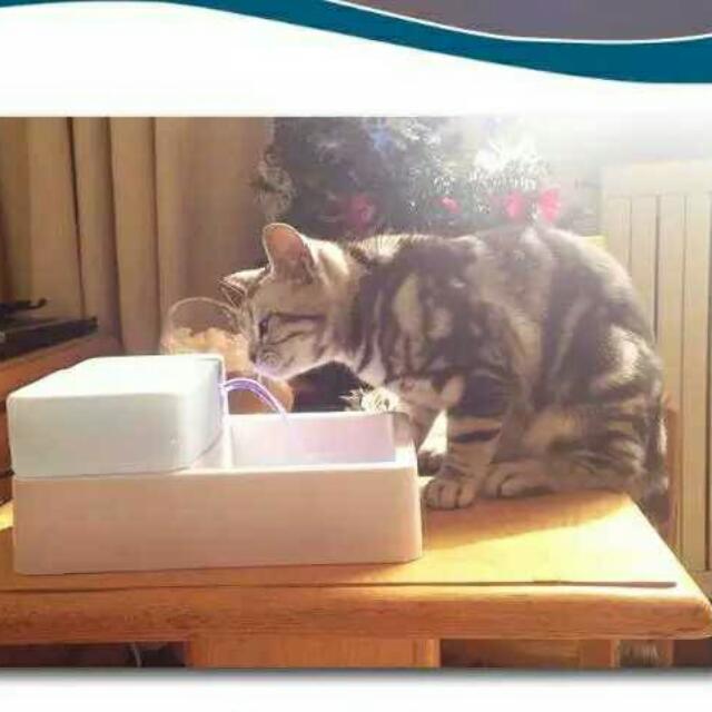 Beacon pet deals water fountain