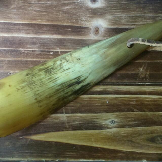 Oldfashioned Shoe Horn, Hobbies & Toys, Memorabilia & Collectibles