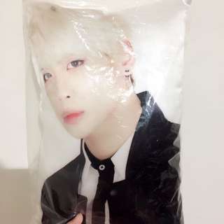 SHINee 鐘鉉 全新 抱枕
