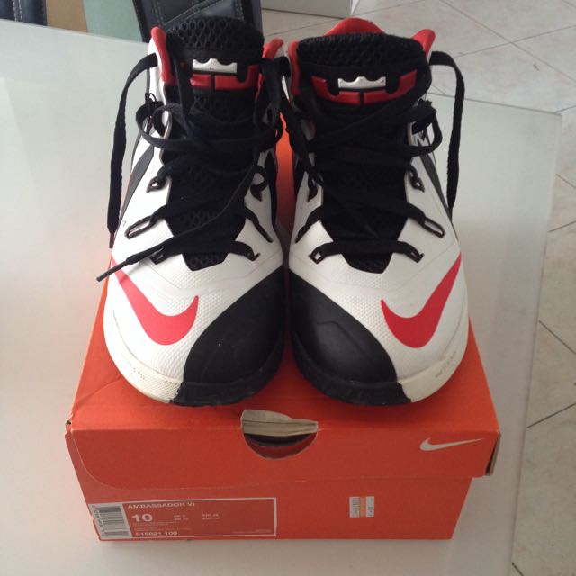 lebron ambassador 6
