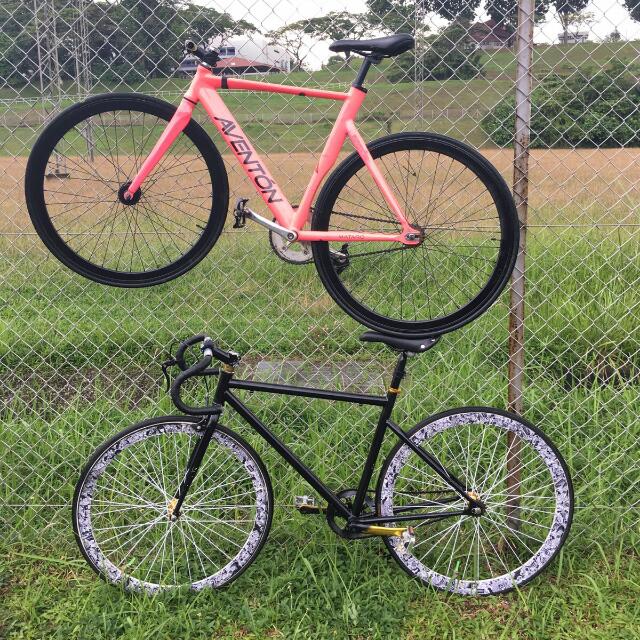 Aleoca fixie discount