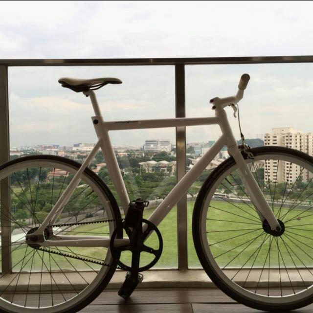 schindelhauer fixie