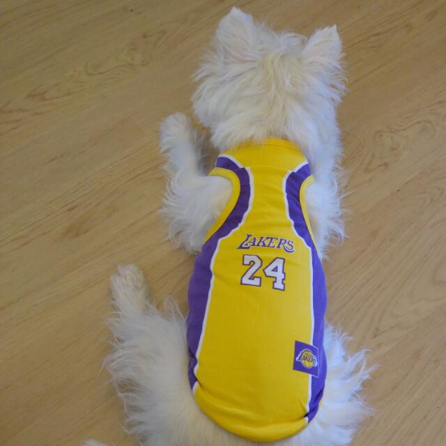 kobe bryant dog jersey