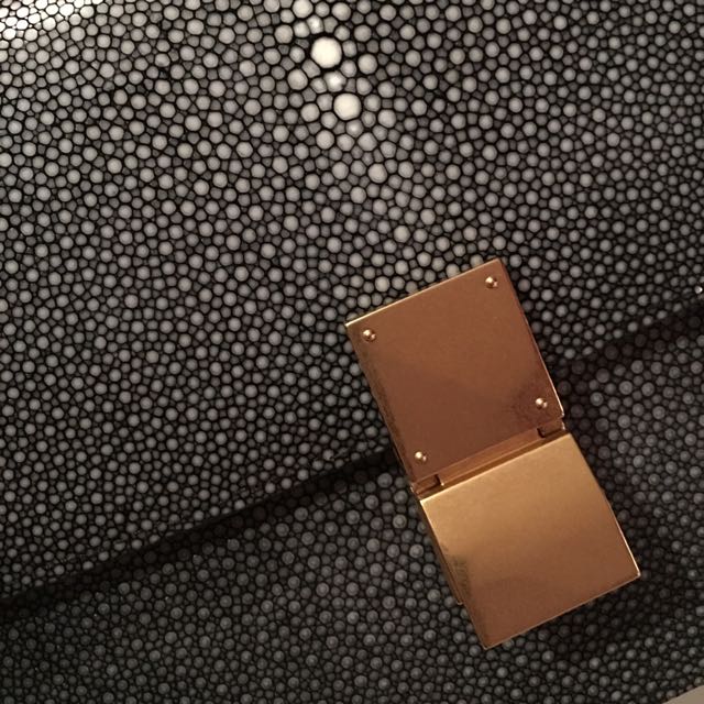 Celine Box Bag Shagreen Stingray Leather