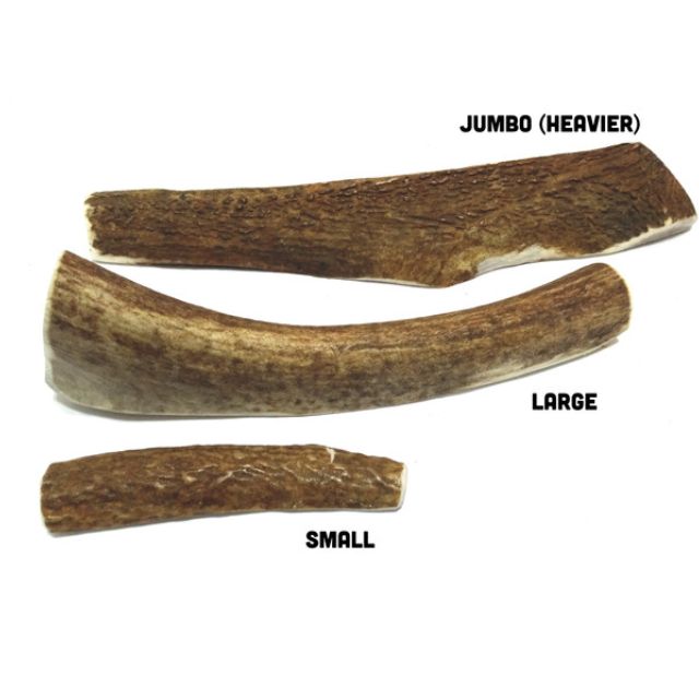 Split antlers (Category: Homes & Other Pet Accessories) located in Singapore. Submitted by chewtime (Listing ID 37416333, Image 2). Description: .