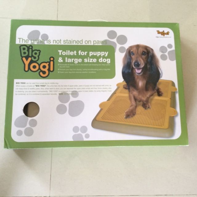 large pee tray