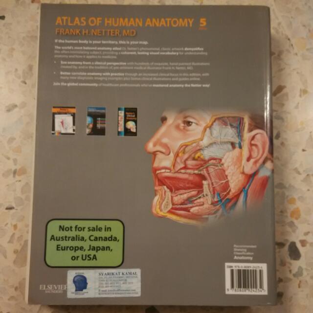 Frank H. Netter's Atlas Of Human Anatomy (5th Edition), Hobbies & Toys ...