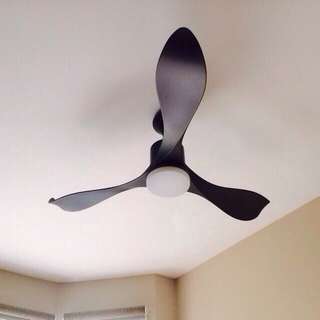 Designer Ceiling Fan With 3 Years Warranty