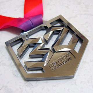 Newton Challenge 32km Run Finisher Medal (2015)