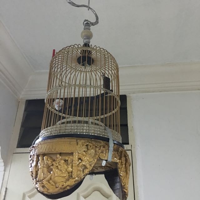 Unique Bird Cage From Surabaya Indonesia, Bulletin Board, Looking For