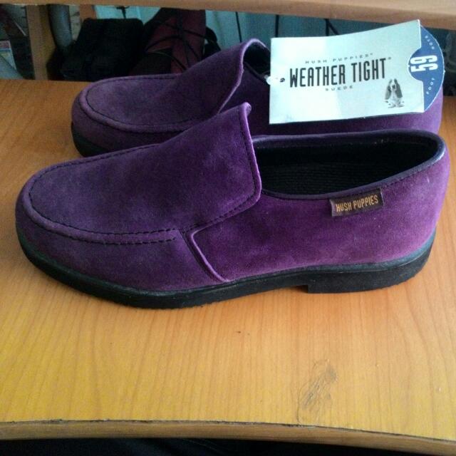 Purple hush cheap puppies