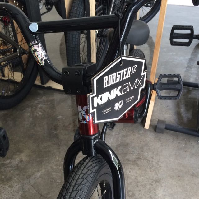BMX Kink Roaster 12