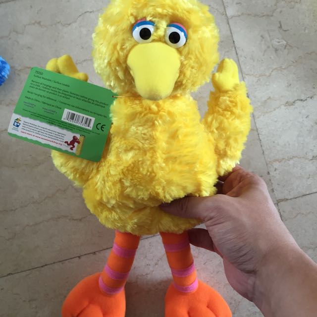 big bird teddy