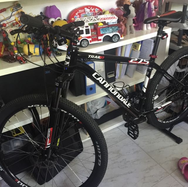 Cannondale top bike stand
