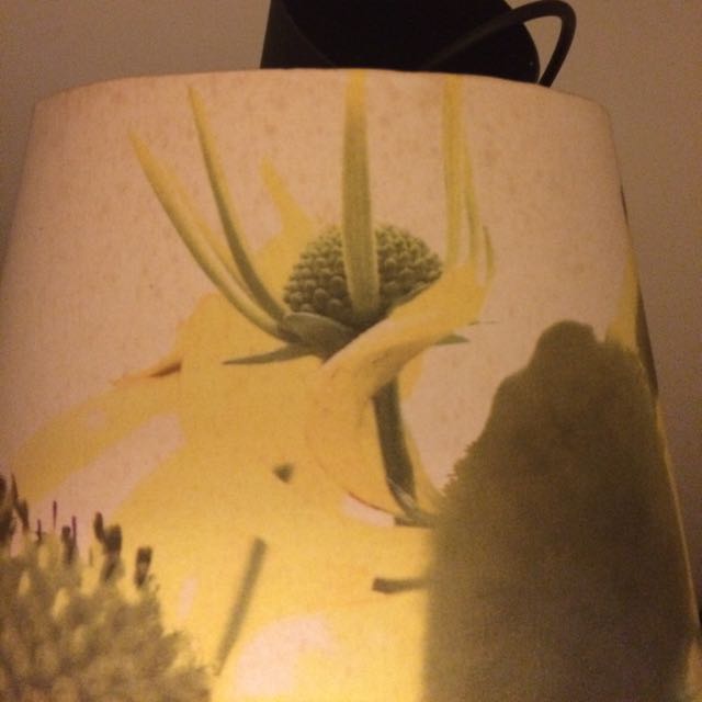 IKEA Lamp Shade Big Size Ceiling Lamp Shade With A Black Wire